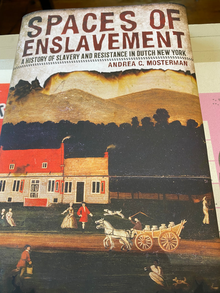 'Spaces of Enslavement: A History of Slavery and Resistance in Dutch N ...