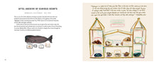Load image into Gallery viewer, Footnotes from the Most Fascinating Museums