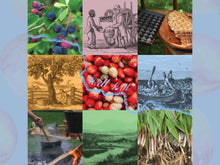 Load image into Gallery viewer, Flavors of Change Postcard