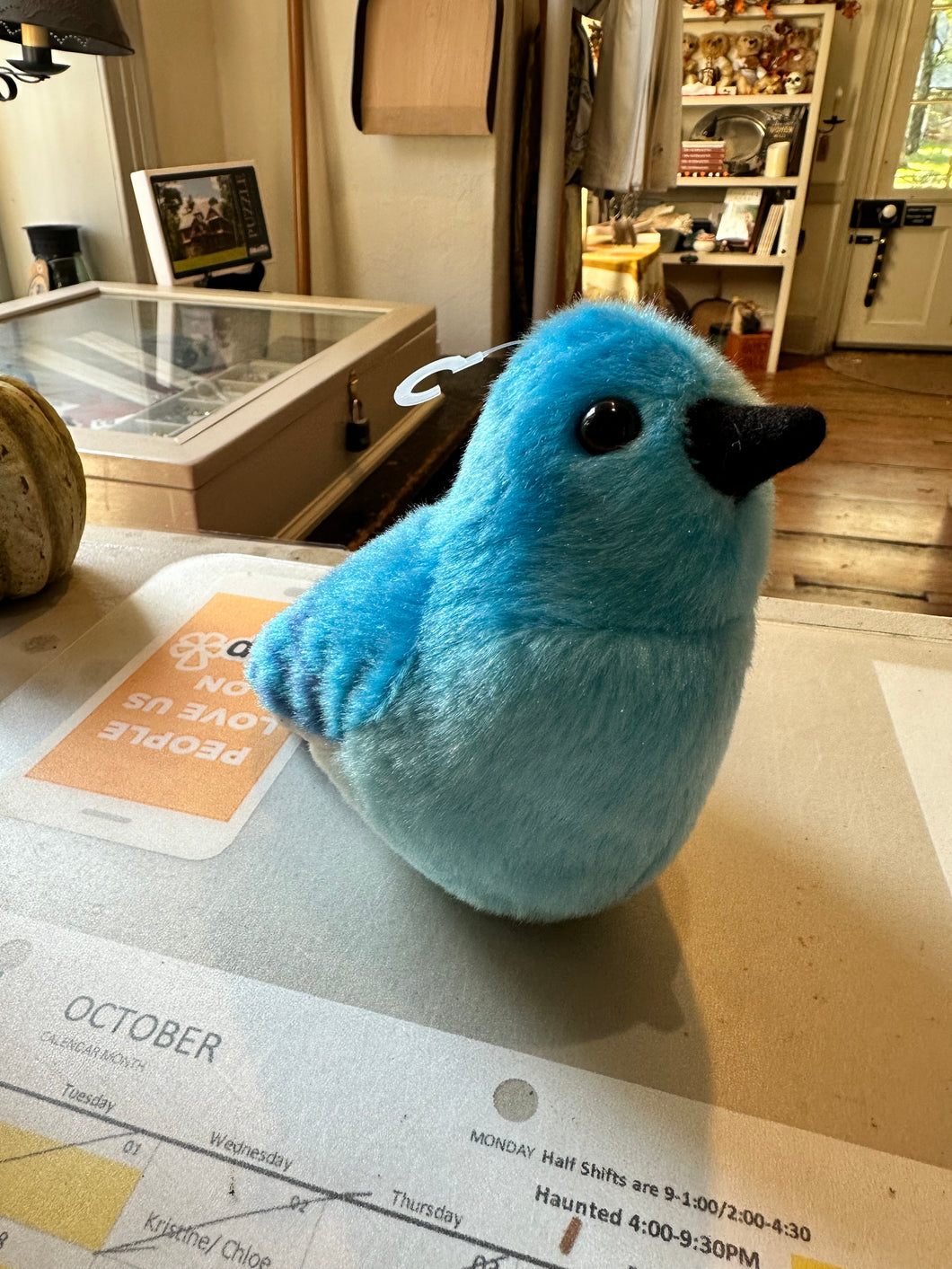 Mountain Bluebird Stuffed Animal