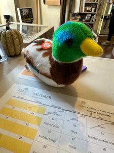 Mallard Duck Stuffed Animal