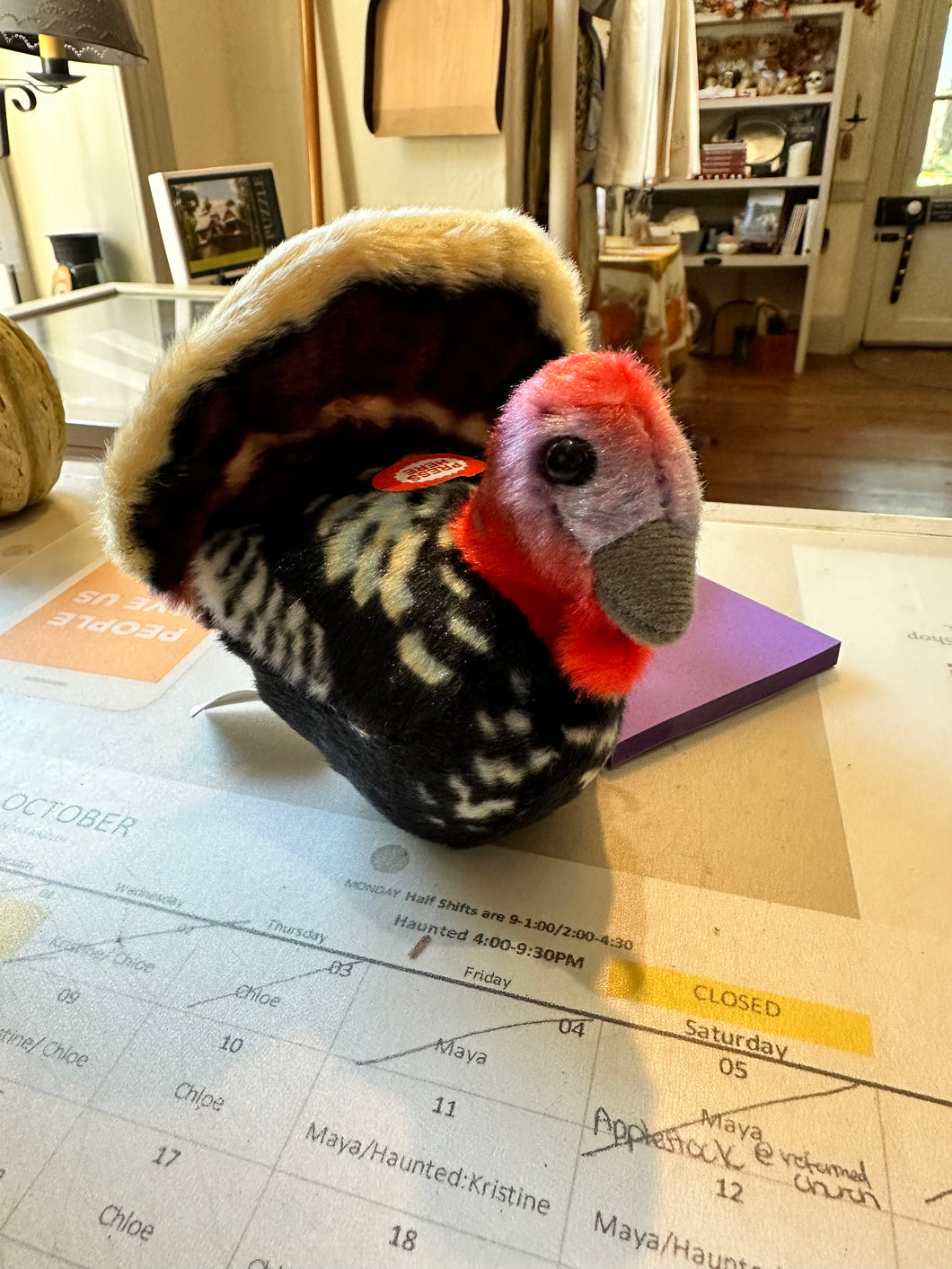 Turkey Stuffed animal