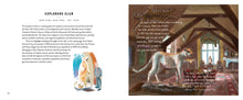 Load image into Gallery viewer, Footnotes from the Most Fascinating Museums