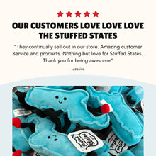 Load image into Gallery viewer, America 250 American Flag Plush