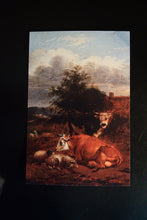 Load image into Gallery viewer, Postcard:Cows and Sheep